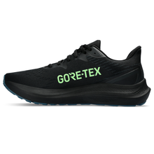 Load image into Gallery viewer, Asics Men&#39;s GT-2000 12 GTX
