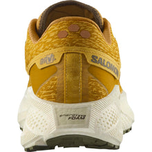 Load image into Gallery viewer, Salomon Men&#39;s Aero Glide 3 Grvl
