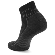 Load image into Gallery viewer, Balega Blister Resistant Quarter Sock
