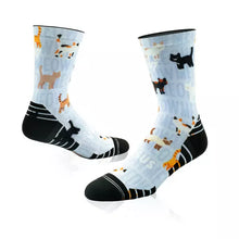 Load image into Gallery viewer, Versus Cats 2.0 Active Crew Socks
