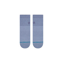 Load image into Gallery viewer, Stance Icon Pop Quarter Sock
