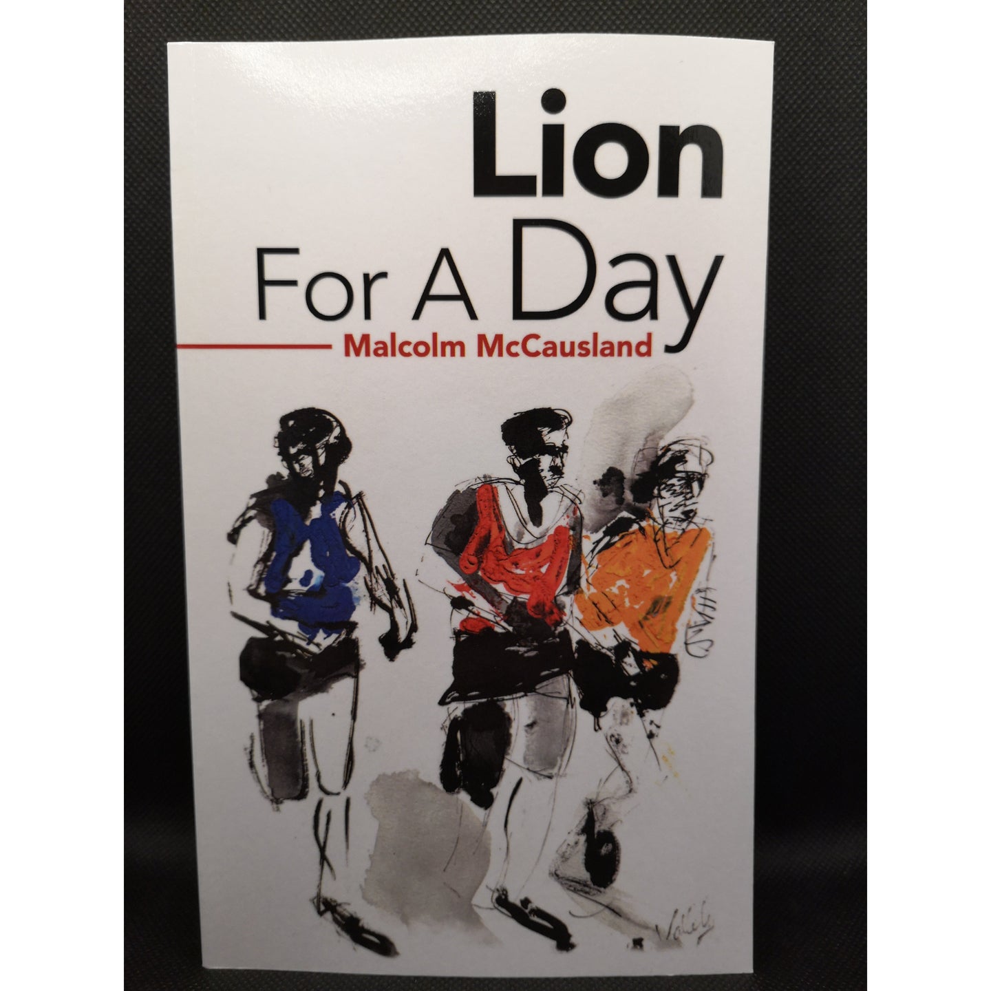 Lion for a Day  by Malcolm McCausland