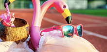 Load image into Gallery viewer, Goodr OGS sunglasses Flamingos on a Booze Cruise

